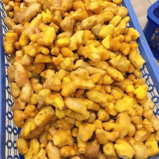 CỐT GỪNG TRÀM KHUYNH DIỆP - Tắm Ngâm Chân Giảm Ho, Giữ Ấm Cơ Thể Hiệu Quả