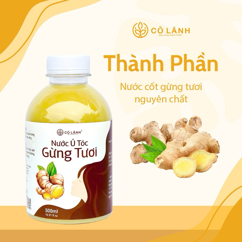 Nước Ủ Tóc Gừng Tươi Cỏ Lành - Giup Giam Rụng Tóc - Kích Thích Mọc Tóc