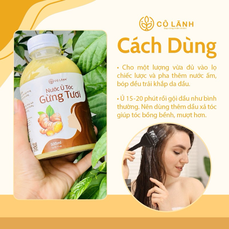 Nước Ủ Tóc Gừng Tươi Cỏ Lành - Giup Giam Rụng Tóc - Kích Thích Mọc Tóc