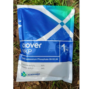 🌾 4. CLOVER MKP 00-52-34 – Siêu Lân Kali | Tạo Mầm Hoa | Nuôi Trái Cực Mạnh – Anh Quốc