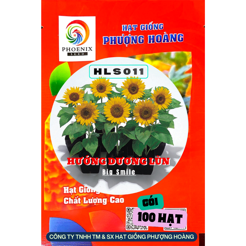 Hạt Giống Hướng Dương Lùn Big Smile HLS011 Hạt Giống Phượng Hoàng