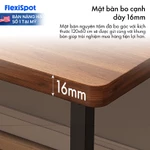 [VOUCHER 500K] Bàn Nâng Hạ Điện Công Thái Học DERGO FlexiSpot FQ2-1260 Bàn Làm Việc Đứng Điều Chỉnh Độ Cao 4 Vị Trí Nhớ — ảnh 7