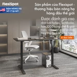 [VOUCHER 500K] Bàn Nâng Hạ Điện Công Thái Học DERGO FlexiSpot FQ2-1260 Bàn Làm Việc Đứng Điều Chỉnh Độ Cao 4 Vị Trí Nhớ — ảnh 2