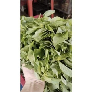 MUỐI LÁ É - ĐẶC SẢN MIỀN TRUNG - HƯƠNG VỊ MIỀN NAM, cay mặn - HỦ 150GR