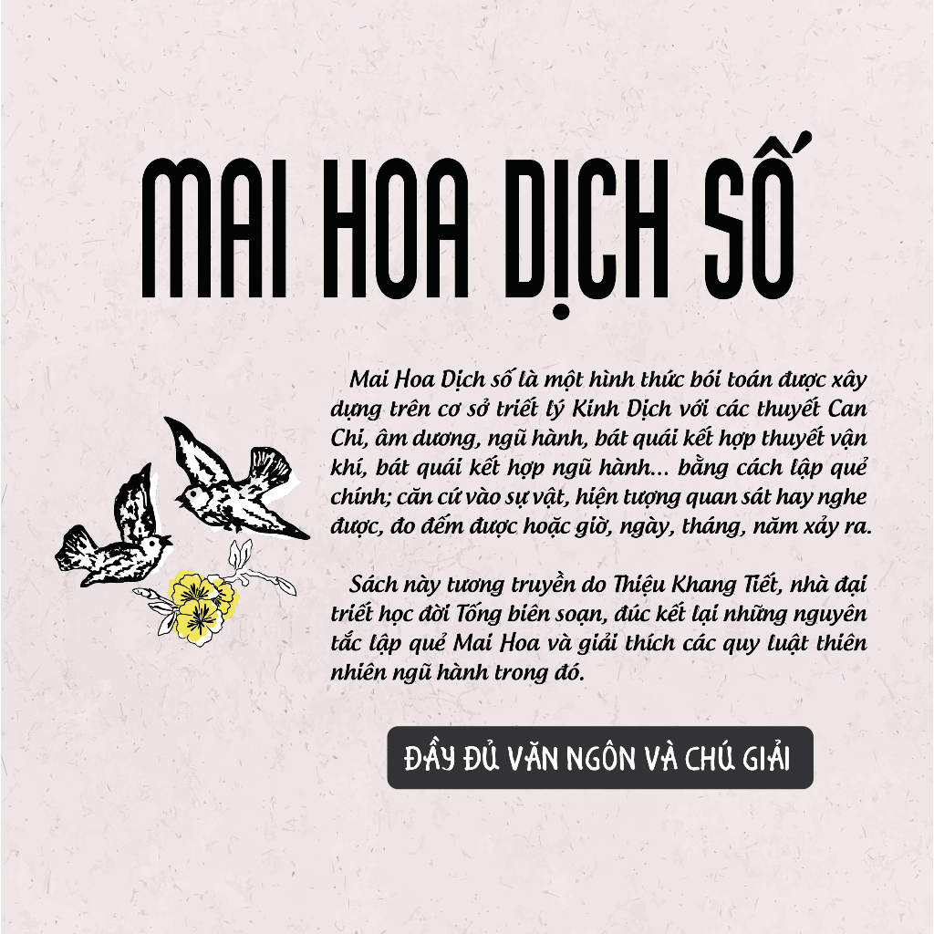 Sách - Mai Hoa Dịch Số - Nguyễn Tuấn Vũ - NXB Hồng Đức