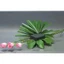 THÙNG 20 VIÊN XỐP CẮM HOA