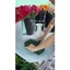 THÙNG 20 VIÊN XỐP CẮM HOA