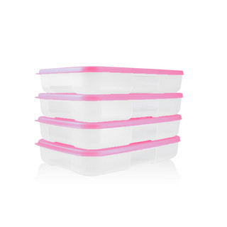 Bộ 4 hộp đựng thực phẩm Tupperware Trữ Đông Gen I Medium 650ml