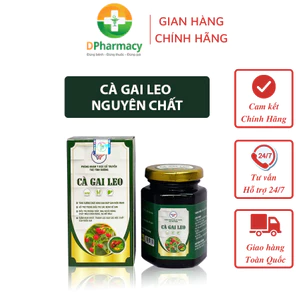 Cà gai leo sạch, hỗ trợ cải thiện chức năng gan, hạ men gan, chiết xuất từ cà gai leo sạch