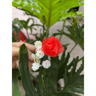 hoa Hồng voan lụa combo cho sỉ, qua tặng ,nguyên liệu boá hoa 20/10, ngày lễ tình yêu , 20/11