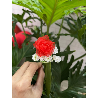 hoa Hồng voan lụa combo cho sỉ, qua tặng ,nguyên liệu boá hoa 20/10, ngày lễ tình yêu , 20/11