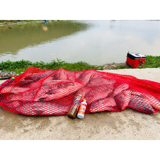 Combo Rô 1 Chai , Nước Xả B202 ( Tặng Tương Gan Tổng Hợp B202 )