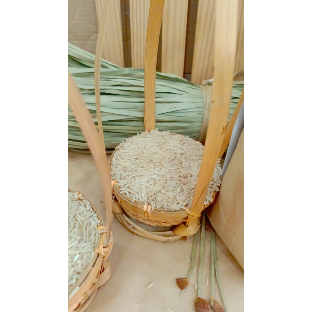 5kg Gạo ST25 xát dối - gạo tươi xát mới, không chất tạo mùi - tốt cho người tiểu đường, tim mạch, người ăn kiêng