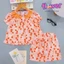 Bộ tole LỬNG bé gái cổ tròn cài 1 nút - Đồ bộ tole Flower