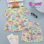 Bộ tole LỬNG bé gái cổ tròn cài 1 nút - Đồ bộ tole Flower