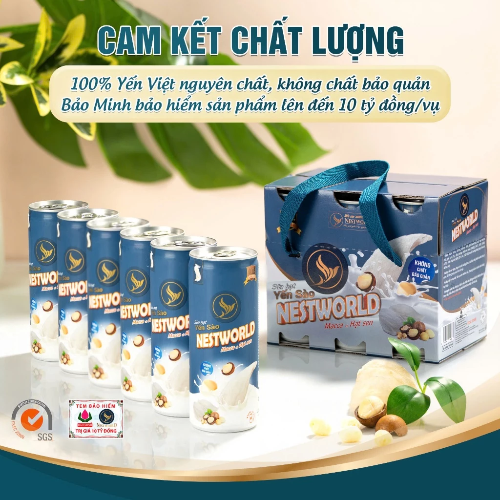 [1 LON] SỮA HẠT YẾN SÀO NESTWORLD MACCA VÀ HẠT SEN