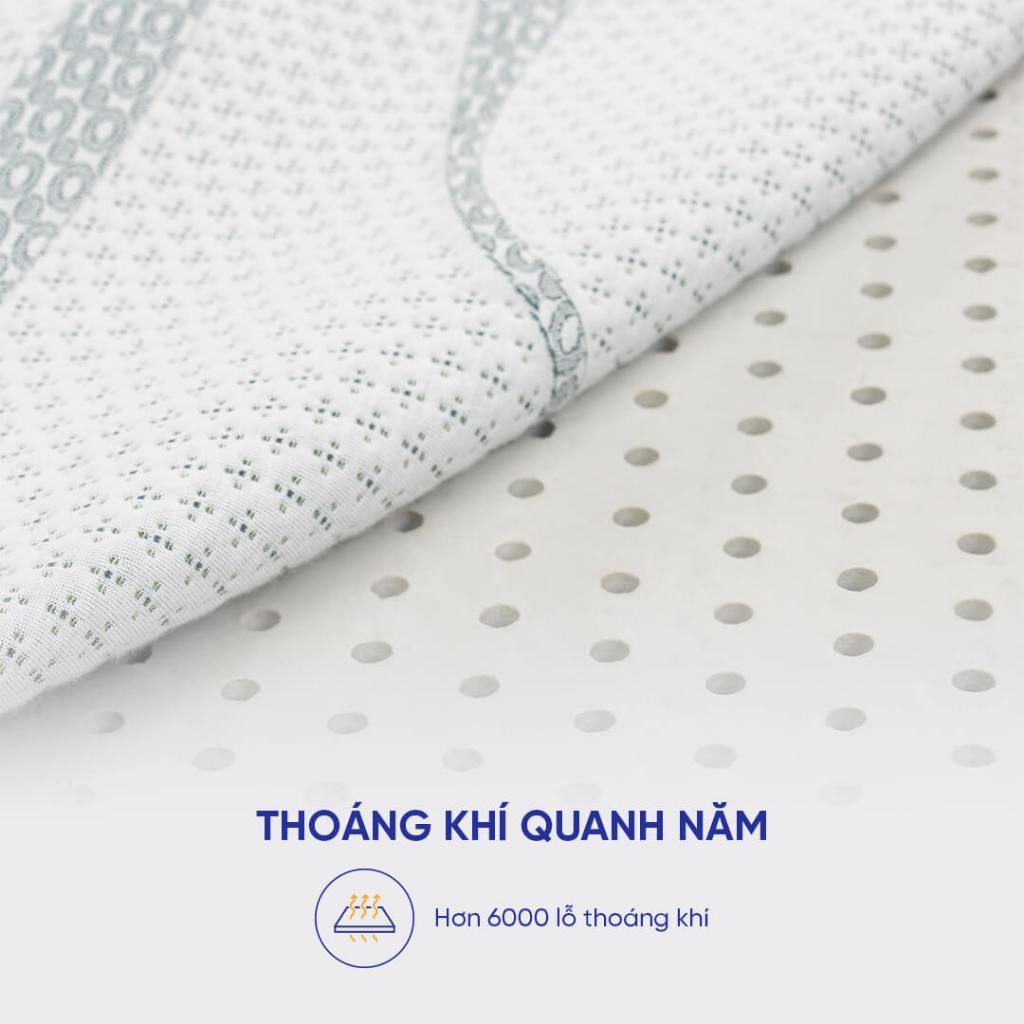 Nệm cao su than tre Gummi Premium - Đệm cao su thiên nhiên, Đệm cao su kháng khuẩn, Đệm cao su 10cm