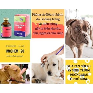 Combo 2 chai BUTACHEM-50 hoặc IMOCHEM-120 – dung dịch thú y Interchemie – Hà Lan