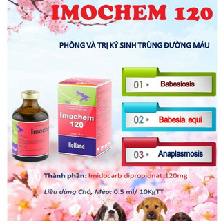 Combo 2 chai BUTACHEM-50 hoặc IMOCHEM-120 – dung dịch thú y Interchemie – Hà Lan