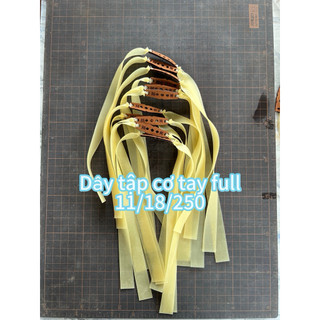 Dây full tay tập cơ 11/18/250 giúp tay chân chắc khoẻ mạnh dẻo dai giúp tăng có bắp tay ngón tay cơ vai