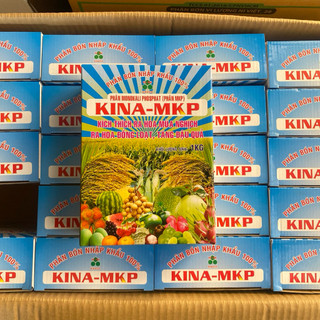 (1Kg) Phân Bón Lá MKP 0-52-34 ISRAEL Kích ra hoa đồng loạt, chống nghẹn bông, Chặn đọt Cây Ăn Trái, Hoa kiểng, Mai Vàng