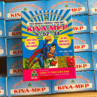 (1Kg) Phân Bón Lá MKP 0-52-34 ISRAEL Kích ra hoa đồng loạt, chống nghẹn bông, Chặn đọt Cây Ăn Trái, Hoa kiểng, Mai Vàng