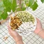 Set trà lưu hương mix sẵn, trà lưu hương cơ thể thanh mát gồm hoa nhài, trần bì, bạch linh