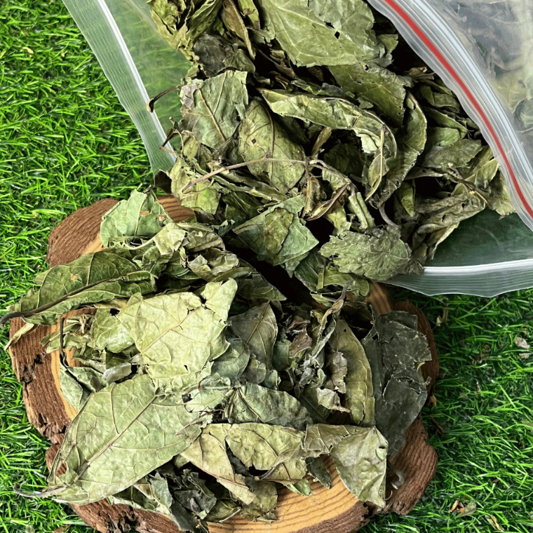500g Xạ Đen Hòa Bình Loại 1 Đức Thiện (Khô, Sạch, Thơm) - Ngừa Ung Thư, Ngủ Ngon, Gan Nhiễm Mỡ