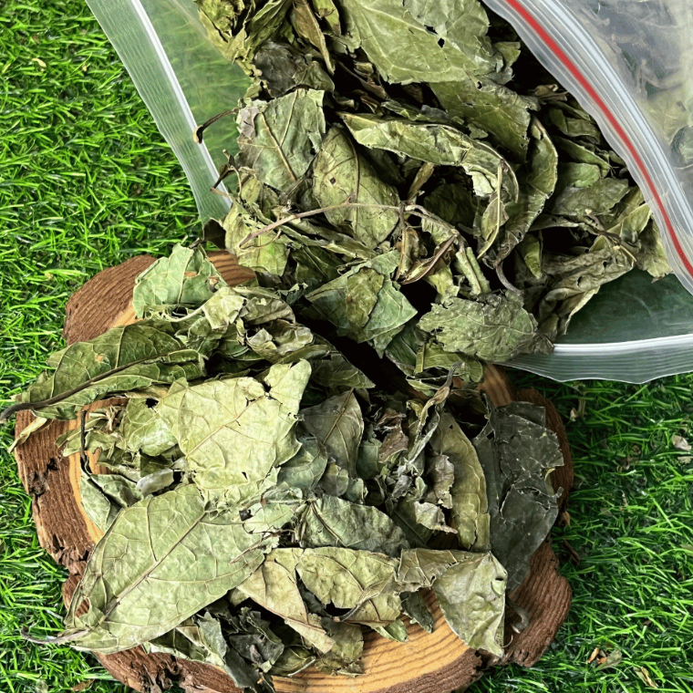 Xạ Đen Hòa Bình Loại 1 Đức Thiện (Khô, Sạch, Thơm) - Hỗ Trợ, Ngăn Ngừa Các Loại Ung Thư, Ngủ Ngon