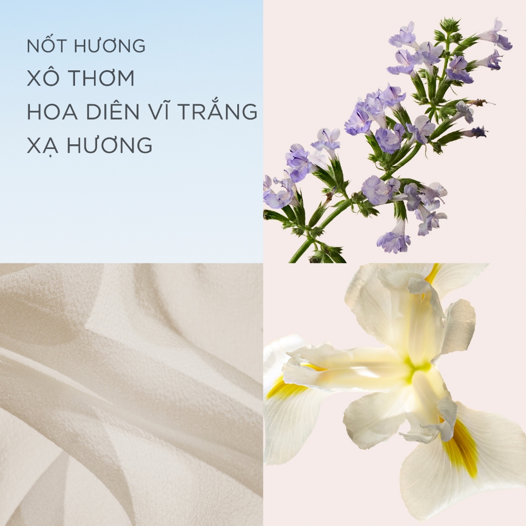 Nước hoa Nữ Elizabeth Arden White Tea EDT 100ml | BigBuy360 - bigbuy360.vn