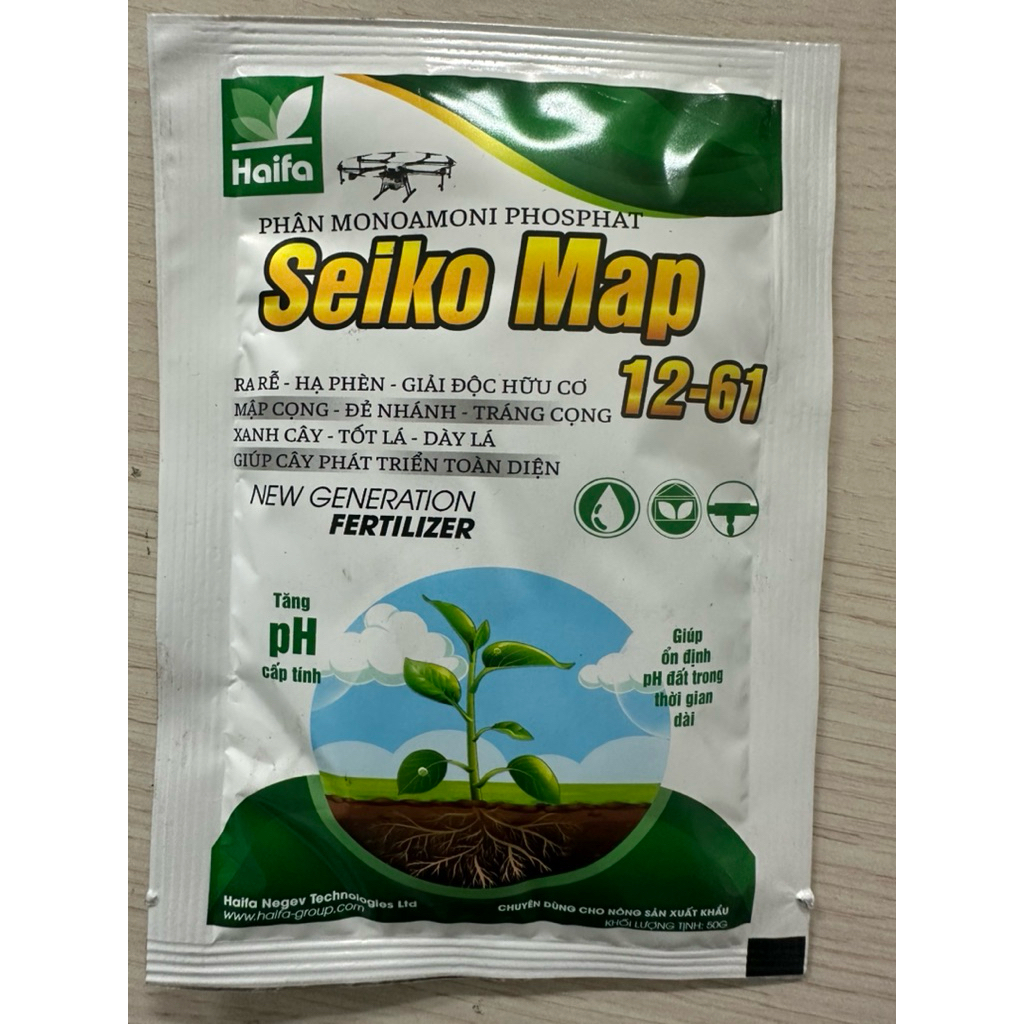 Seiko Map 12-61 lân tinh khiết Israel rễ khỏe- thân mập, dày lá