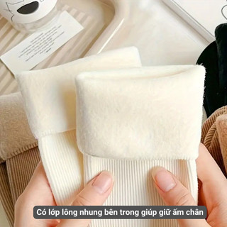 Combo 5 đôi tất lông cổ cao nữ giữ ấm GOMTAT, vớ nữ mùa đông chất liệu cotton mềm mại, thoáng khí - OAS-1709-CB5