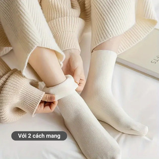 Combo 5 đôi tất lông cổ cao nữ giữ ấm GOMTAT, vớ nữ mùa đông chất liệu cotton mềm mại, thoáng khí - OAS-1709-CB5