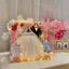 HỘP VALI Mica Mô Hình Cô Dâu Chú rể trong suốt- Lọ len Gift