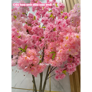 Cây Giả- cây hoa anh đào cao 1m7~1m8. cây giả trang trí không gian nhà cửa. nơi làm việc và quán xã