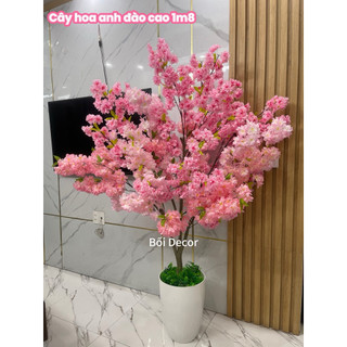 Cây Giả- cây hoa anh đào cao 1m7~1m8. cây giả trang trí không gian nhà cửa. nơi làm việc và quán xã
