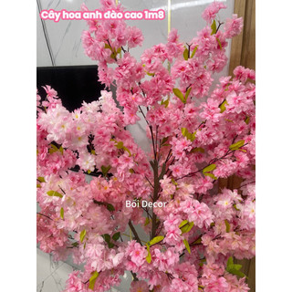 Cây Giả- cây hoa anh đào cao 1m7~1m8. cây giả trang trí không gian nhà cửa. nơi làm việc và quán xã