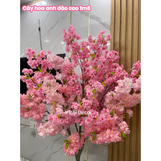 Cây Giả- cây hoa anh đào cao 1m7~1m8. cây giả trang trí không gian nhà cửa. nơi làm việc và quán xã