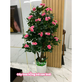 Cây Giả- cây hoa hồng trà cao 1m6. cây nhân tạo trang trí quán xã nhà cửa và nơi làm việc
