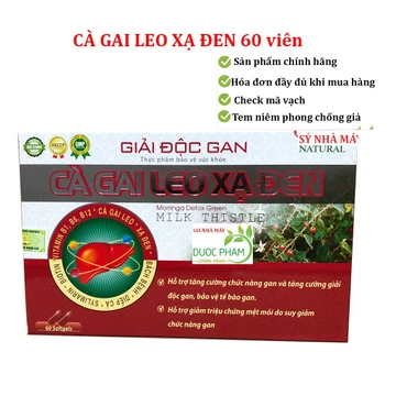 Giải độc gan CÀ GAI LEO XẠ ĐEN giảo cổ lam diệp hạ châu tăng cường chức năng gan, giúp mát gan, hạ men gan, giảm mụn