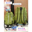 BaLo (XINHXINH) [ORDER] Balo Nam Nữ Đi Học Đơn Giản BL171