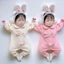 Quần Áo Trẻ Em Sơ Sinh Bộ Đồ Liền Thân Dài Tay Chất Cotton Bodysuit Hình Thỏ Cho Bé SLT116