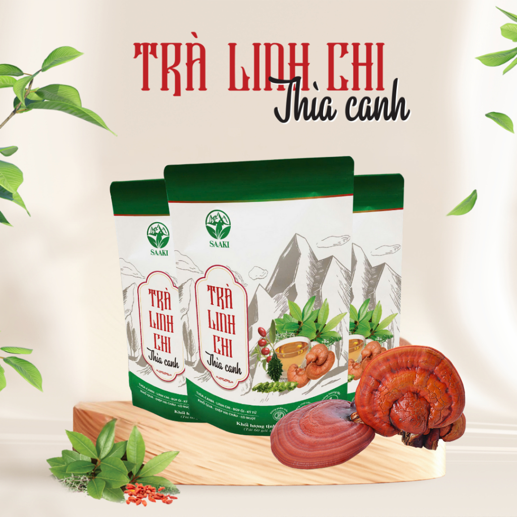 Trà Linh Chi Thìa Canh - Gói 60 Túi Lọc