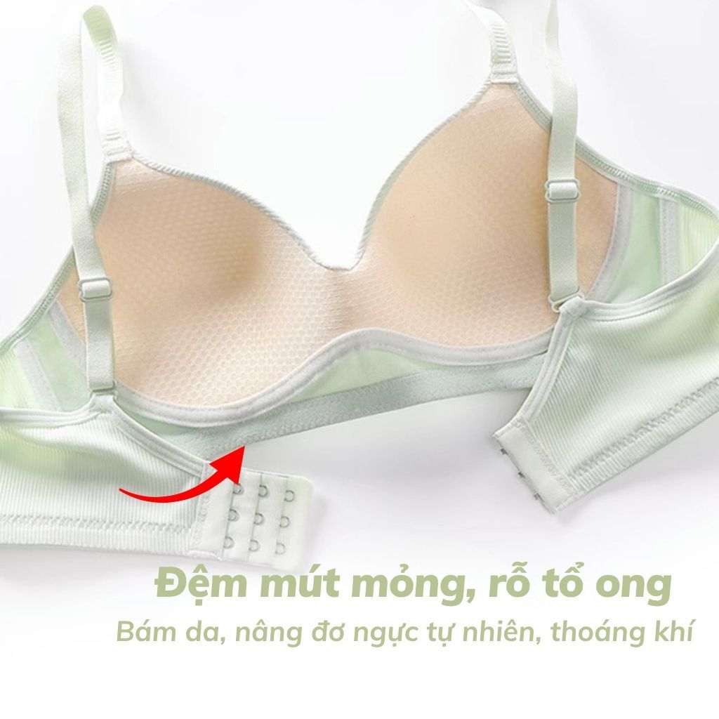 Áo ngực nữ không gọng mềm mại thoáng mát, áo lót nữ cotton đệm mút mỏng ôm ngực gợi cảm LANIXA A409
