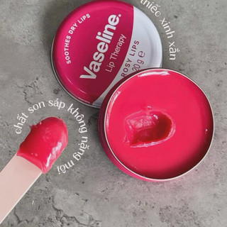 Sáp dưỡng môi Vaseline Lip Therapy Rosy Lips 20g - Sẵn hàng
