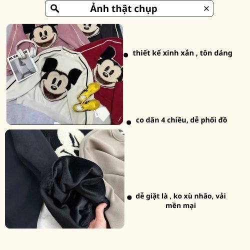 áo nỉ nữ , áo thu đông nữ dài tay cổ tròn thêu hình mikey nhiều màu chất vải mền mại Donna hcom3678