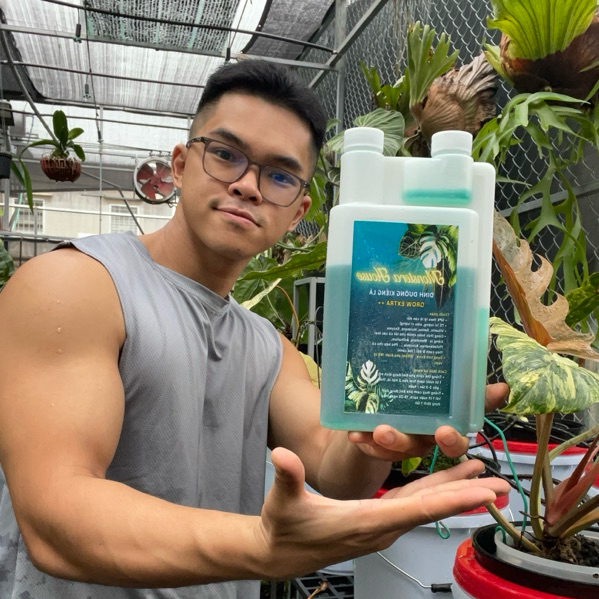 Phân bón dinh dưỡng kiểng lá, phân bón lá và thuỷ canh GrowExtra+