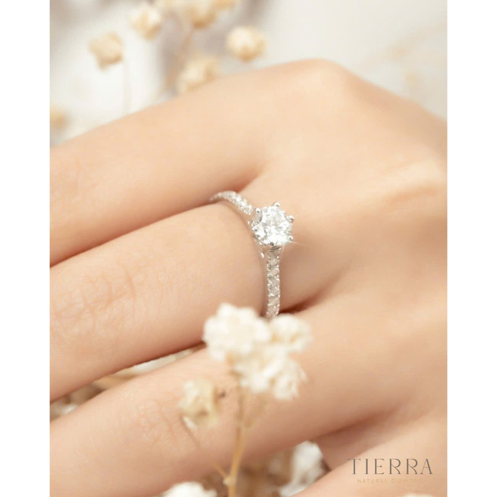 [CHAT TRƯỚC KHI ĐẶT] Nhẫn Cầu Hôn Tierra NCH1505, Vàng 14K 18K, Tấm CZ, Thiết Kế Cách Điệu Hình Trái Tim Ngọt Ngào