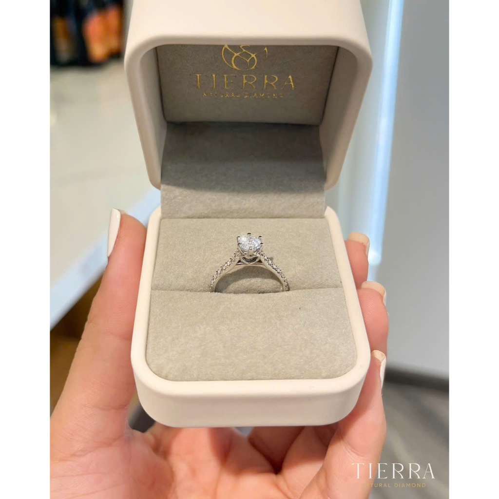 [CHAT TRƯỚC KHI ĐẶT] Nhẫn Cầu Hôn Tierra NCH1505, Vàng 14K 18K, Tấm CZ, Thiết Kế Cách Điệu Hình Trái Tim Ngọt Ngào