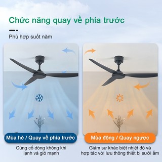 Quạt trần 3 cánh/5 cánh nguyên khối-quạt đảo chiều 6 tốc độ gió decor nhà hàng,khách sạn,spa,phòng khách